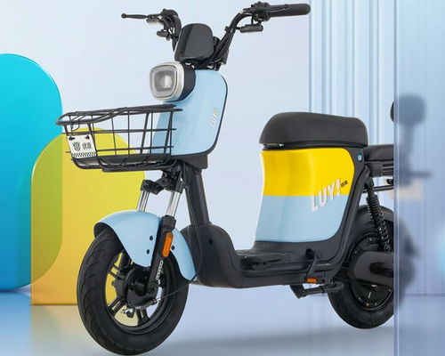 電動(dòng)車銷售遇冷,廠商開啟多輪價(jià)格戰(zhàn) 新國(guó)標(biāo)或可毀掉電動(dòng)車行業(yè)