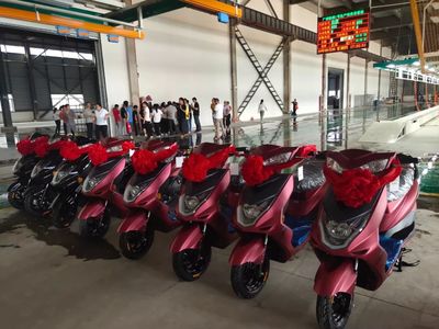 歐派貴港工廠正式投產(chǎn),五大電動(dòng)車基地齊發(fā)力,沖擊百萬(wàn)銷量!