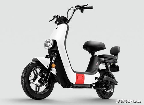 這2款電動車,不要駕照,3000元左右,最大續(xù)航100公里,你怎么看