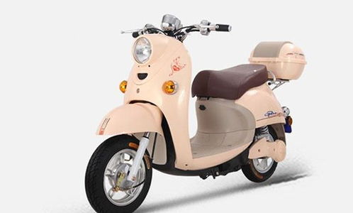 十大電動車品牌謀求新發(fā)展 產(chǎn)品和服務(wù)是關(guān)鍵