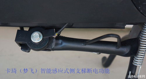 綠能電動車實現(xiàn)多元化升級，重磅來襲引領(lǐng)行業(yè)新浪潮